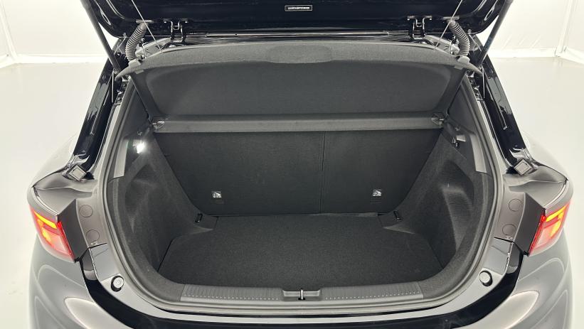 Aperçu du véhicule : 1.5 L Hybrid+ 195ch Standard