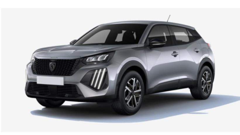 Aperçu du véhicule : 2008 Hybrid 145 e-DCS6 Style