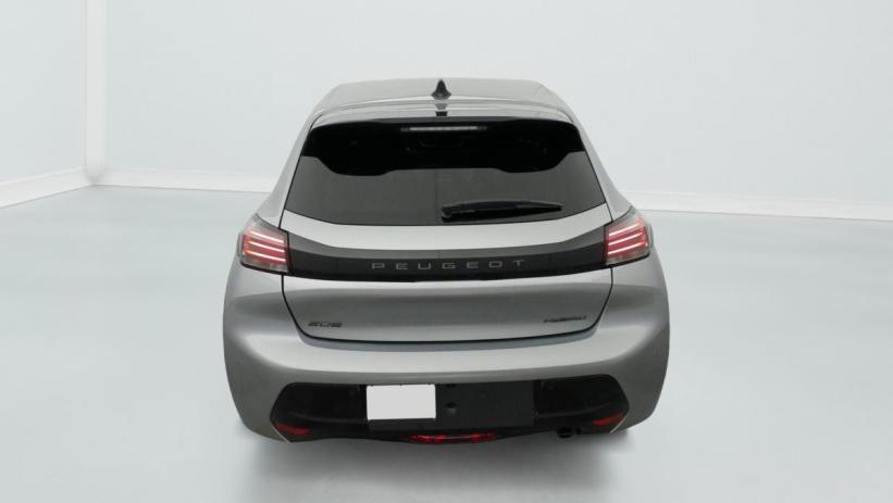 Aperçu du véhicule : Hybrid 110 e-DCS6 Allure