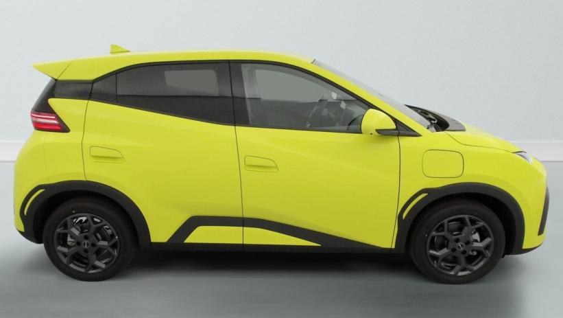 Aperçu du véhicule : 43.2 kWh 156 ch Comfort