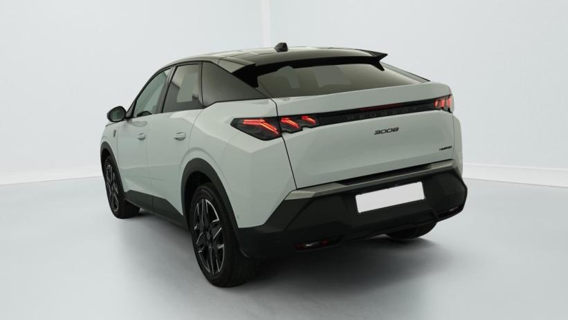 Aperçu du véhicule : Hybrid 145 e-DCS6 GT