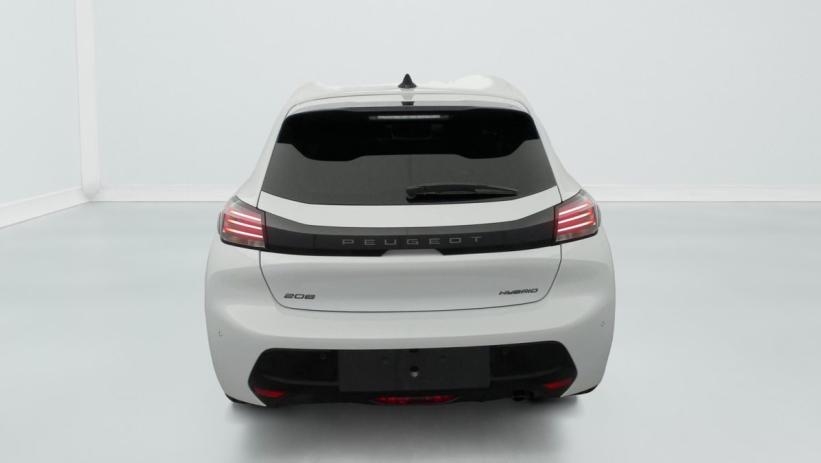 Aperçu du véhicule : Hybrid 110 e-DCS6 Allure