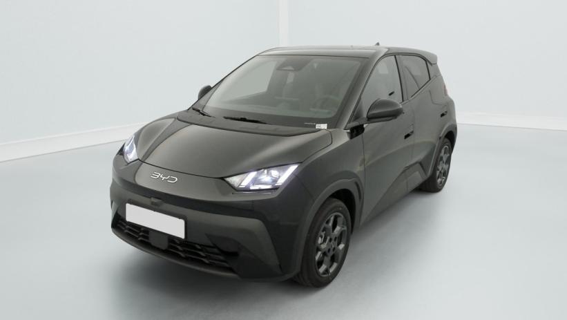 Aperçu du véhicule : 43.2 kWh 156 ch Comfort