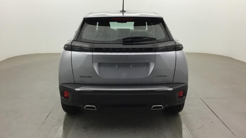 Aperçu du véhicule : 2008 Hybrid 145 e-DCS6 Style