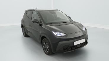 Aperçu du véhicule : 43.2 kWh 156 ch Comfort